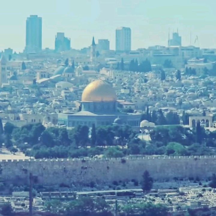 Profile Picture of Nazim rami (@mohammedrami264) on Tiktok