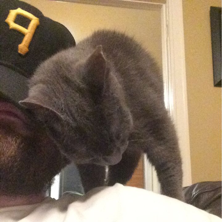 Profile Picture of Billy Connelly (@@coachyb85) on Tiktok