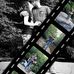 Profile Picture of Tony Fogle (@tony.fogle.16) on Facebook