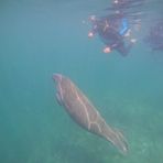 Profile Picture of Brad Newhard (@brad.newhard.9) on Facebook