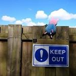 Keith Hales - Instagram Profile Picture of Keith Hales (@keithhales56) on Instagram