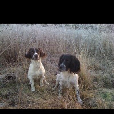 Profile Picture of Jeff Driscoll (@faithbrothers) on Twitter