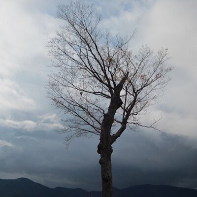 Profile Picture of Matt (@MatKott) on Twitter