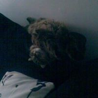 Profile Picture of Maria Carlsson (@maria-carlsson-5) on Quora