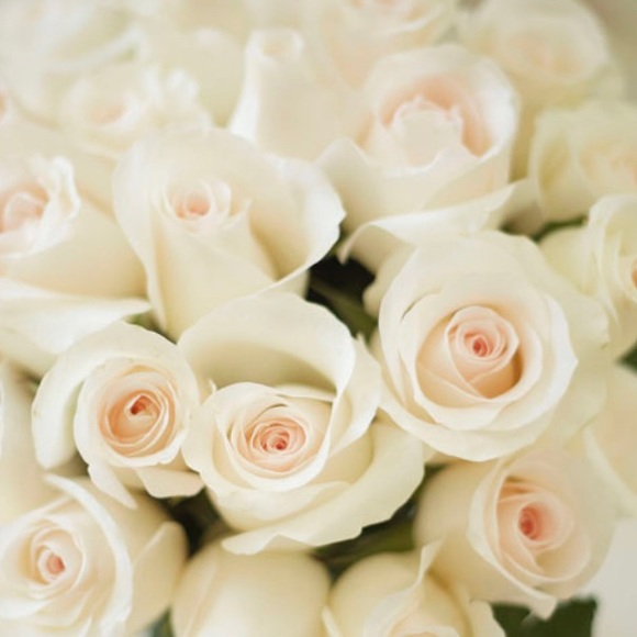 Allyson Tokarek - Poshmark Profile Picture of Allyson Tokarek (@ally0419) on Poshmark