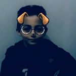 Profile Picture of Kemal Ibrahim (@kaplankral2008) on Instagram