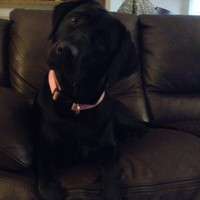 Profile Picture of Mike Port (@mike-port-5) on Quora