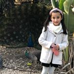 Profile Picture of Reema sh khoury (@reema.sh.kh) on Instagram