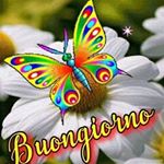 Profile Picture of jessica (@jessicazappala54) on Instagram