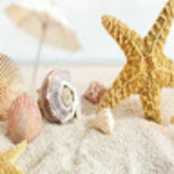 Profile Picture of Michelle Pembleton (@mishbit55) on Poshmark