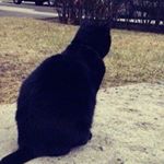 Profile Picture of James Carchedi (@james_carchedi) on Instagram