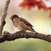 Profile Picture of Michael Khoo (@michael.khoo.391) on Facebook