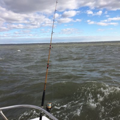 Profile Picture of Chris Kolodzey (@ckolodzey) on Twitter