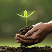 Mark Fink - Youtube Profile Picture of Mark Fink (@MarkFink010) on Youtube