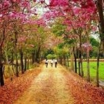 Profile Picture of isidra martinez (@isidramartinez696) on Instagram