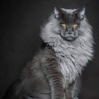 Anthony Cardinault - Facebook Profile Picture of Anthony Cardinault (@anthony.cardinault) on Facebook