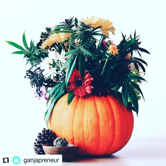 Profile Picture of Vibes680 Campaniello (@vibes680) on Poshmark