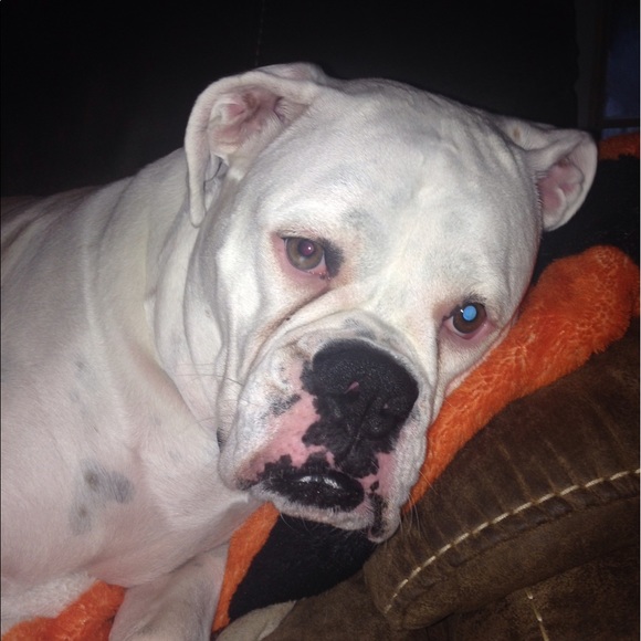 Profile Picture of Lori Lassiter (@zjlsmom) on Poshmark