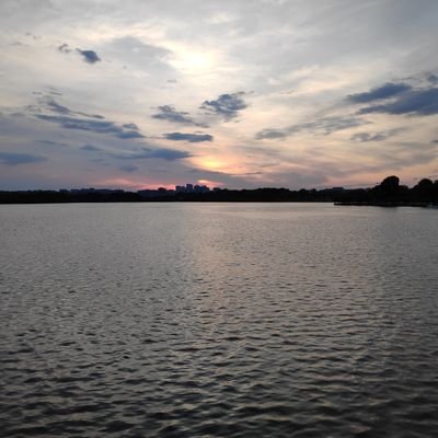 Profile Picture of Thomas Richman (@thomasdotlearn) on Twitter
