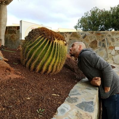 Profile Picture of David Pezza (@DavePel) on Twitter