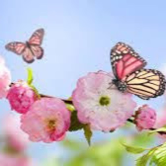 Profile Picture of Kimberly Slaton (@hellzangel73) on Poshmark