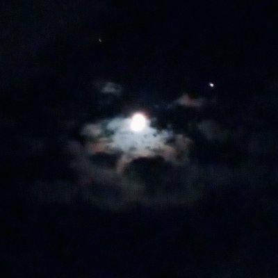 Profile Picture of Joel Mclean (@JoelMcl33487088) on Twitter