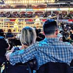 Jonathan Lord-Tardif - Instagram Profile Picture of Jonathan Lord-Tardif (@lordtardif) on Instagram