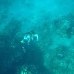Profile Picture of andrew manion (@manionandrew) on Instagram