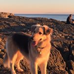 Profile Picture of Peter Waldhuber (@peter.waldhuber) on Instagram