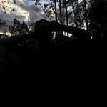 Profile Picture of Arturo vitela (@arturo_vitela_) on Instagram