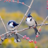 Profile Picture of Asma Shah (@asma-shah-43) on Quora