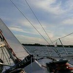 Profile Picture of Brian Tinney (@captain_tinman) on Instagram