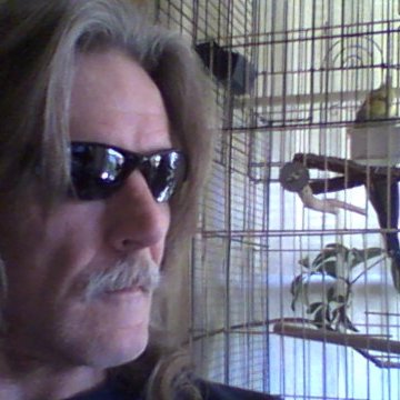 Profile Picture of Carl J Chiveral (@0I8U2) on Twitter