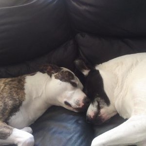 Profile Picture of Ben Larkins (@Benlarkins2) on Twitter