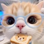 Profile Picture of Siin Anwa (@Siin-Anwa) on Facebook