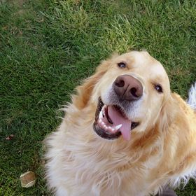 Profile Picture of Allison Weaver (@amiddle2) on Pinterest