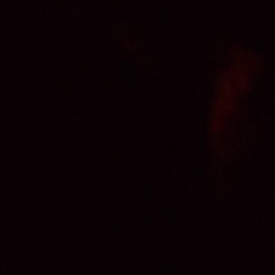 Profile Picture of Jacob Honer (@ArtooHoner) on Twitter