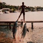 Profile Picture of Tiger Shark-James Jeffries (@highseas_jeffries) on Instagram