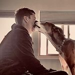 Profile Picture of Alexander Anas (@greekalex) on Instagram