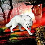 Profile Picture of Ian Flatt (@ianchristopherflatt) on Instagram