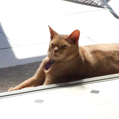 Profile Picture of Andrew Gilder (@b04d86968c07486) on Twitter