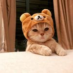 Profile Picture of Richard Terrazas Flores (@richard_terrazas) on Instagram