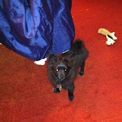 Profile Picture of Kennedy Evans (@kennedyevans4984) on Youtube