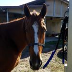 Profile Picture of jacob deel (@a_big_deel) on Instagram