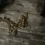 Profile Picture of Ivan Campos (@Ivan-Campos) on Facebook