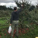 Profile Picture of Brian Langdon (@brian.c.langdon) on Instagram