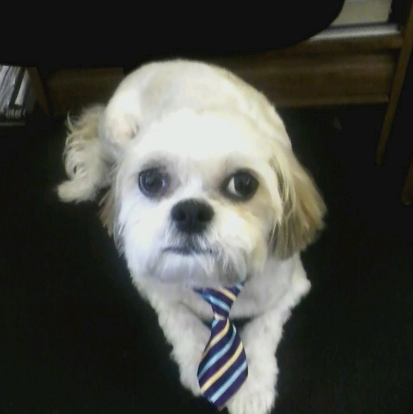 Susan Weithman - Poshmark Profile Picture of Susan Weithman (@dollayne) on Poshmark