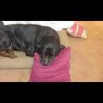 Profile Picture of Cody Albert (@cody.albert.560) on Facebook