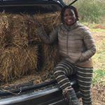 Profile Picture of Rosa Vasquez (@30acresandagoat) on Instagram