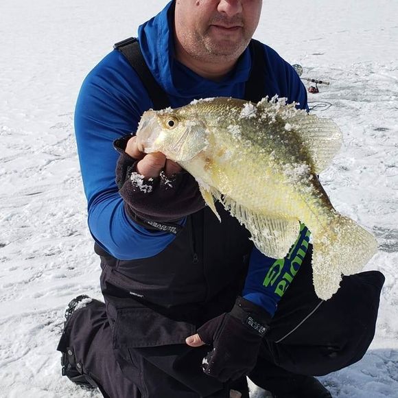 Brad Kruty - Poshmark Profile Picture of Brad Kruty (@kruty6) on Poshmark